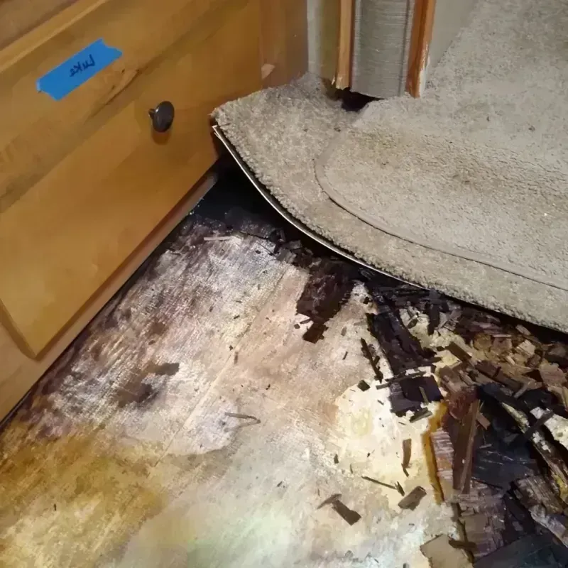 Wood Floor Water Damage in Parsons, KS